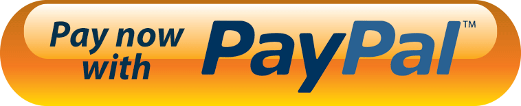 PayPal-Pay Now-Button