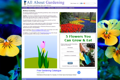 Content Website Front Page Example