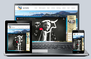 Video Income Website