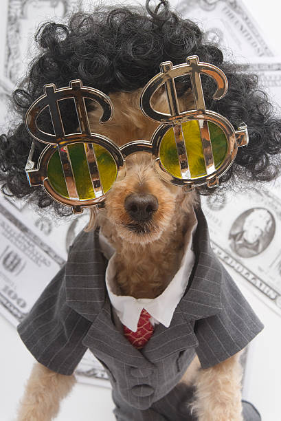 make money from your pet