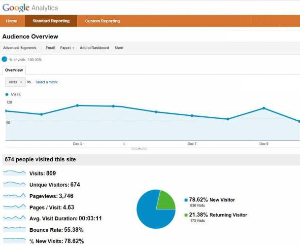 Google Analytics website stats