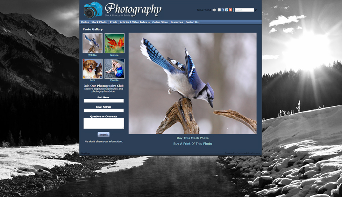 Free Photography Art Website