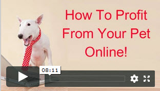 profit online from your pet