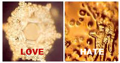 love hate water crystals