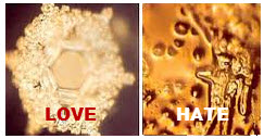 love hate water crystals