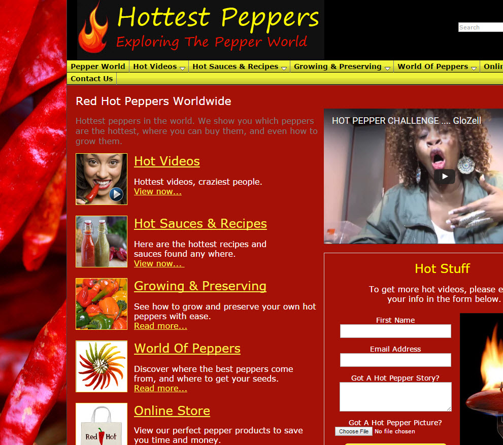 free website Spicy Food Recipes