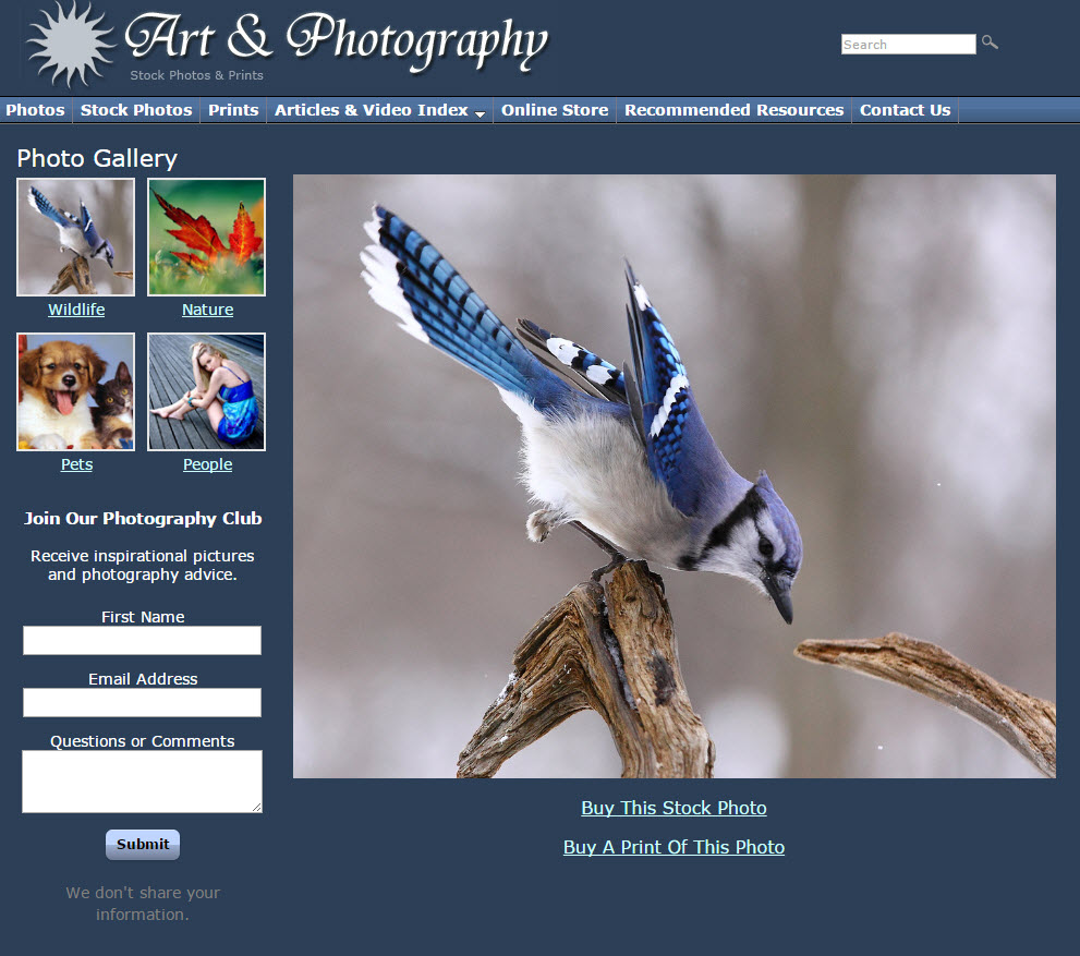 free website Art & Photography