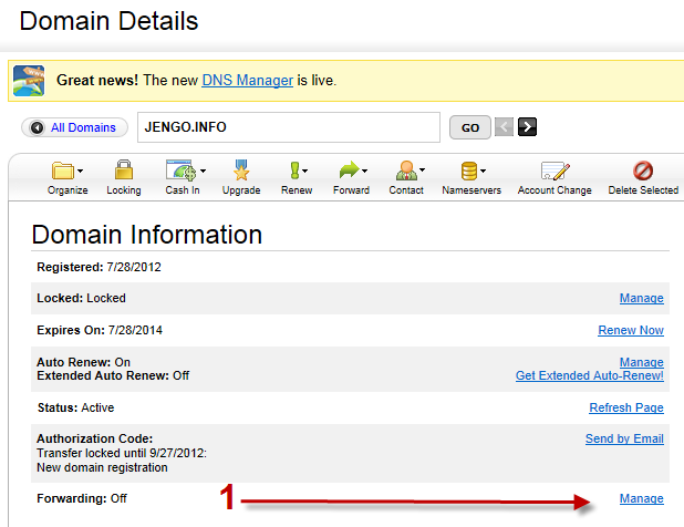 forwarding a domain name